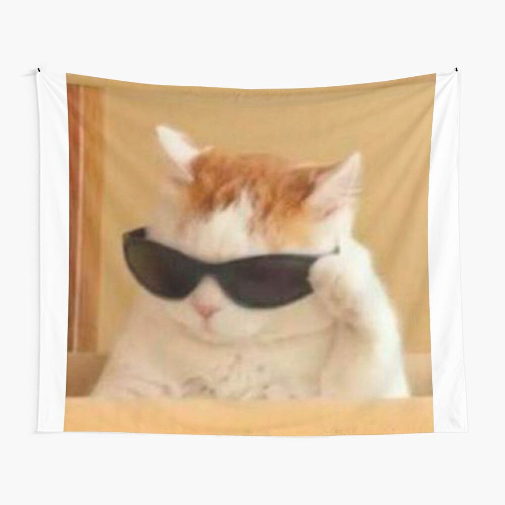 cat with glasses meme