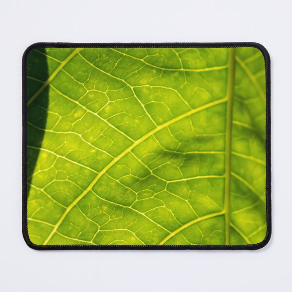 Item preview, Leaf designed and sold by amyericephoto.