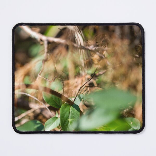 Item preview, In The Pines designed and sold by amyericephoto.