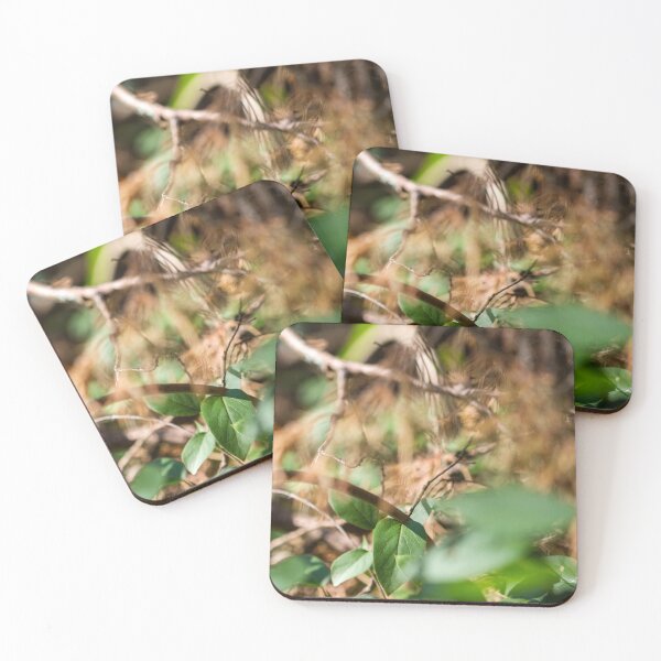 Item preview, In The Pines designed and sold by amyericephoto.