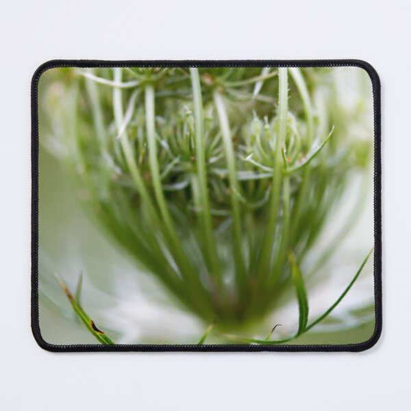 Item preview, Queen's Lace Closed designed and sold by amyericephoto.