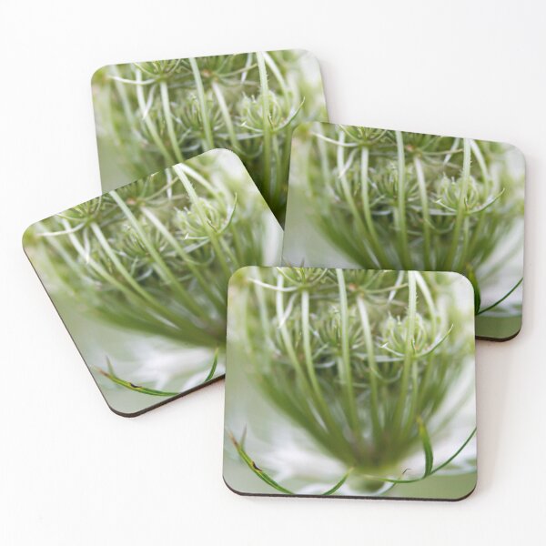 Item preview, Queen's Lace Closed designed and sold by amyericephoto.