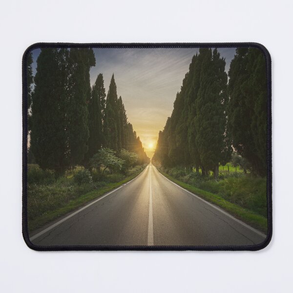 Item preview, The cypress tree-lined avenue of Bolgheri. Tuscany designed and sold by Stefano Orazzini.
