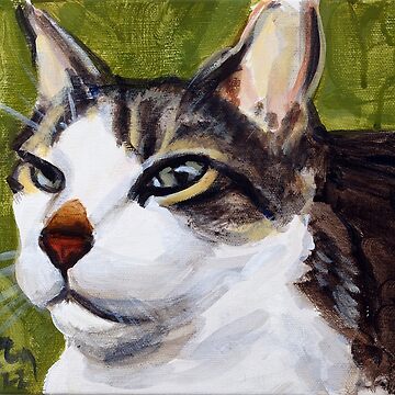 Artwork thumbnail, Baxter the green-eyed cat by rontaylorcrouch