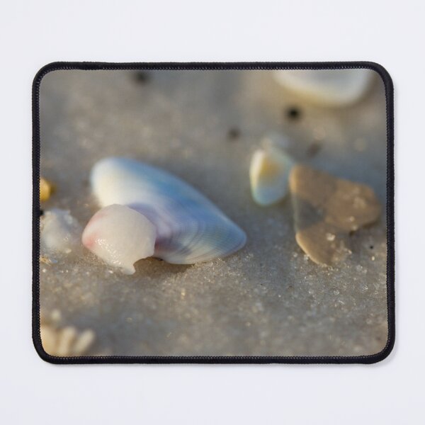 Item preview, Purple Shell designed and sold by amyericephoto.