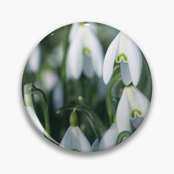Item preview, Snowdrops designed and sold by AnthonyThomas.