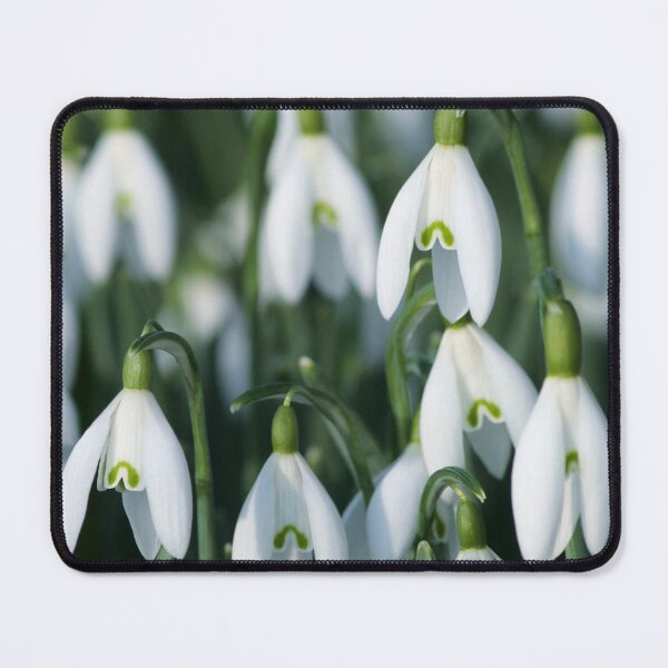 Item preview, Snowdrops designed and sold by AnthonyThomas.