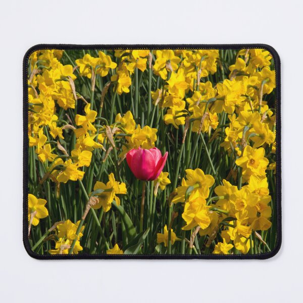 Item preview, Stand Out designed and sold by amyericephoto.