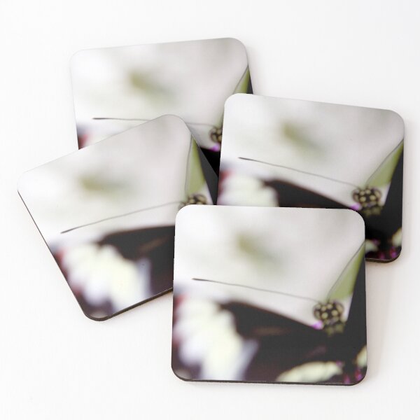 Item preview, Soft Focus designed and sold by amyericephoto.