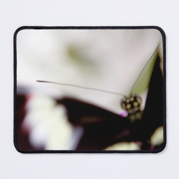 Item preview, Soft Focus designed and sold by amyericephoto.