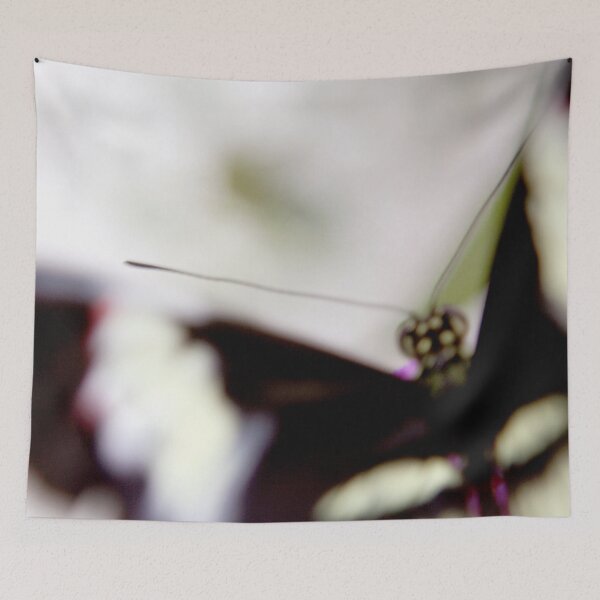 Item preview, Soft Focus designed and sold by amyericephoto.