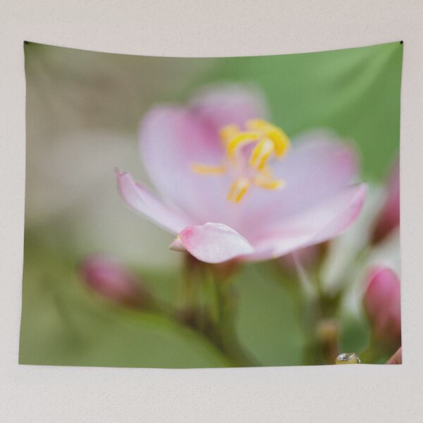 Item preview, Pink Petal designed and sold by amyericephoto.