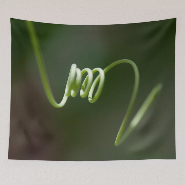 Item preview, Curl designed and sold by amyericephoto.