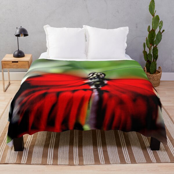 Item preview, Flamenco designed and sold by amyericephoto.