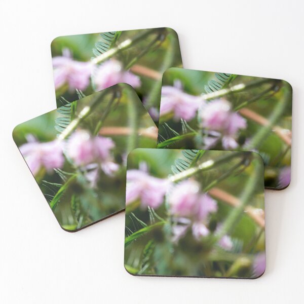 Item preview, Spring Colors designed and sold by amyericephoto.