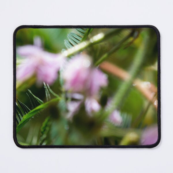 Item preview, Spring Colors designed and sold by amyericephoto.