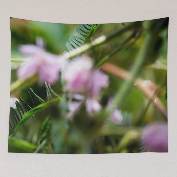 Item preview, Spring Colors designed and sold by amyericephoto.