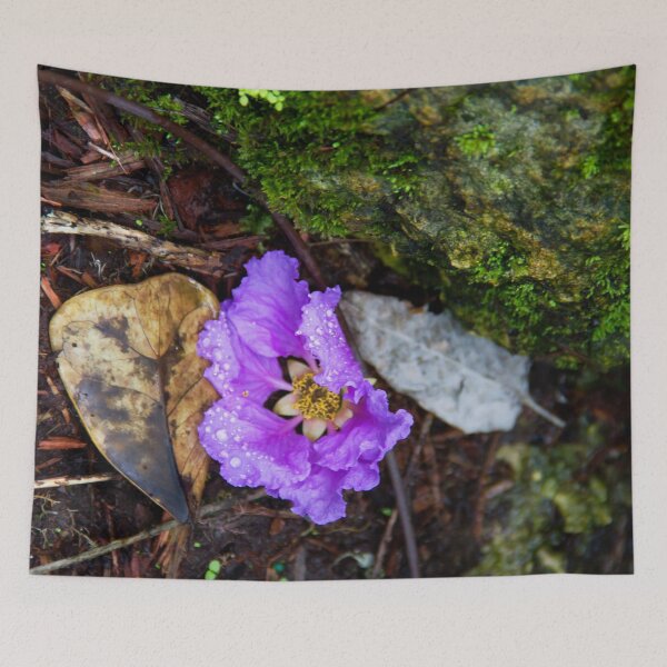 Item preview, Olvidado designed and sold by amyericephoto.
