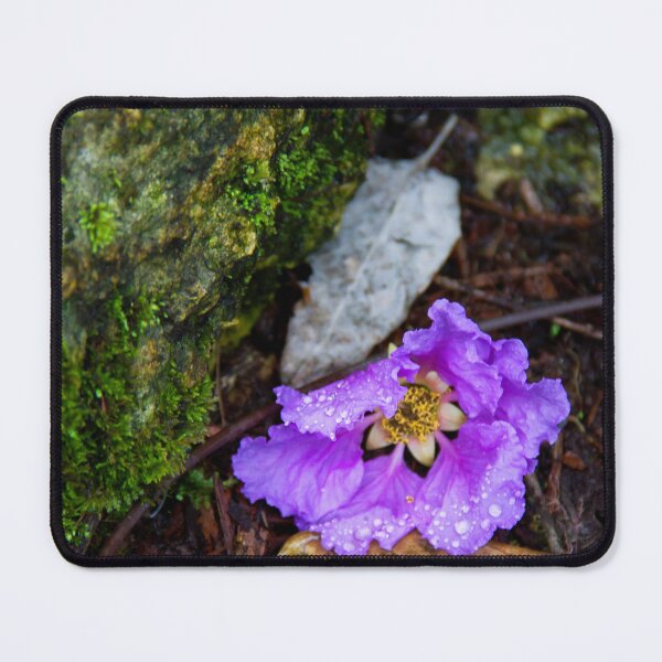Item preview, Forgotten designed and sold by amyericephoto.
