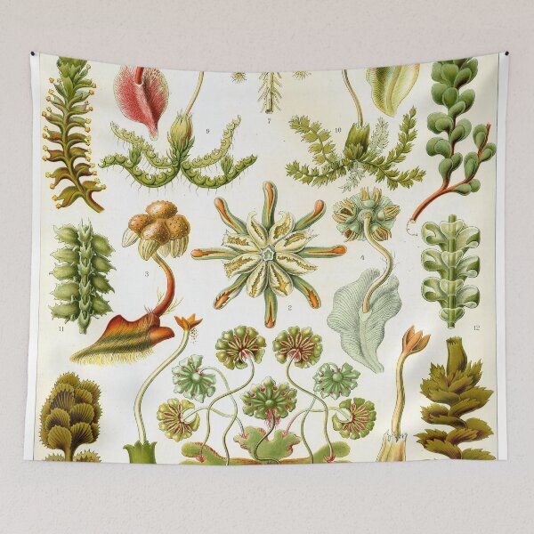 Item preview, Watercolor botanical vintage Floral minimalist print 2 designed and sold by Red Witch Art.