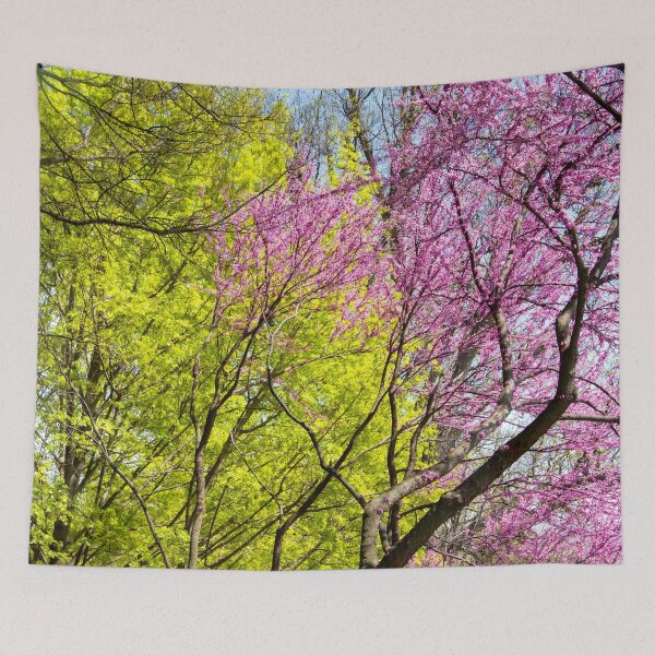 Item preview, Clash designed and sold by amyericephoto.