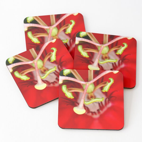 Item preview, Firework designed and sold by amyericephoto.