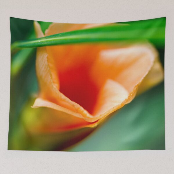 Item preview, Tunnel designed and sold by amyericephoto.