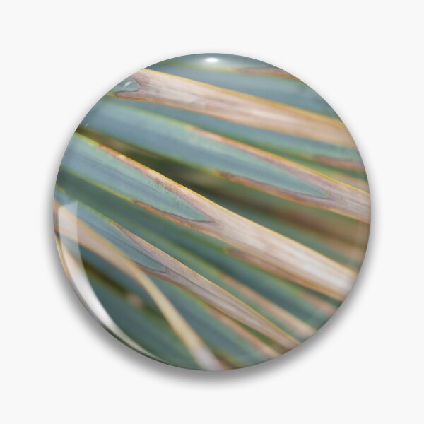 Artikelvorschau, Palmetto entworfen und verkauft von amyericephoto.