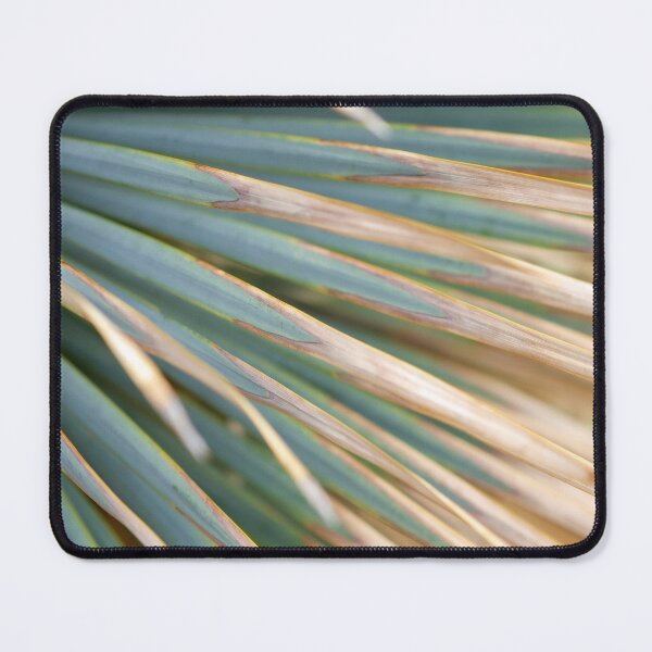 Item preview, Palmetto designed and sold by amyericephoto.