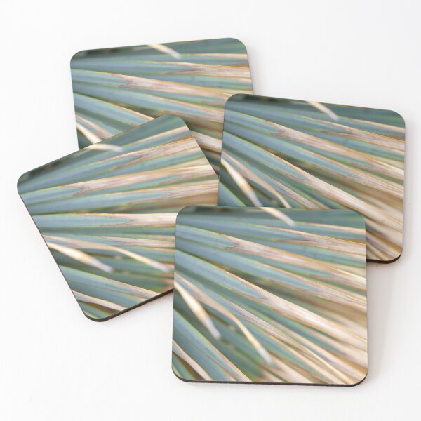 Item preview, Palmetto designed and sold by amyericephoto.