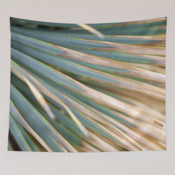 Item preview, Palmetto designed and sold by amyericephoto.