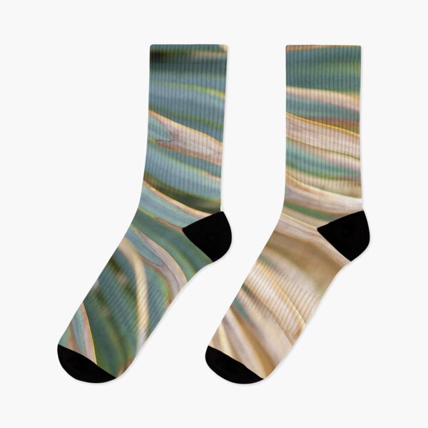 Item preview, Palmetto designed and sold by amyericephoto.