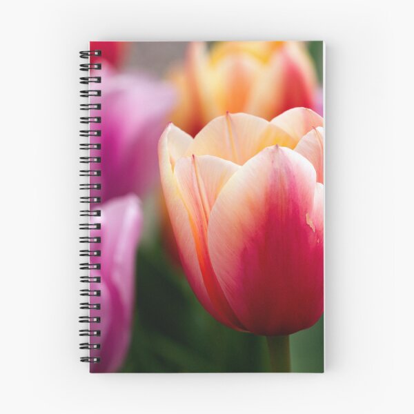 Item preview, Tulips designed and sold by amyericephoto.