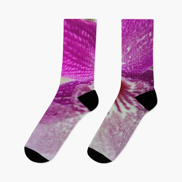 Item preview, Purple Orchid designed and sold by amyericephoto.