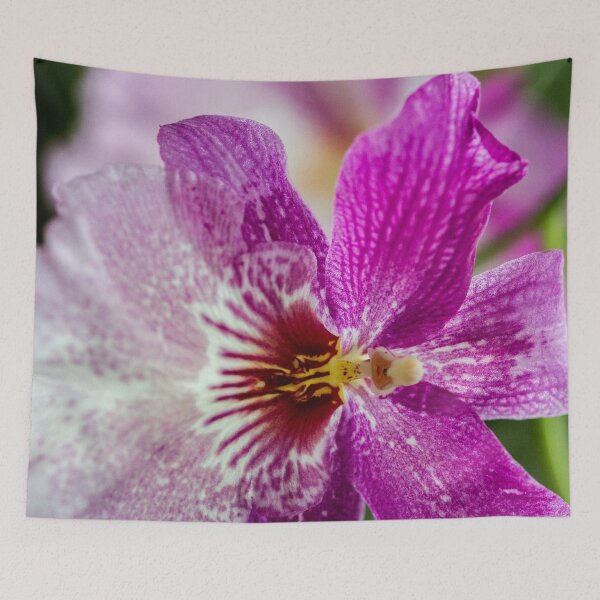 Item preview, Purple Orchid designed and sold by amyericephoto.