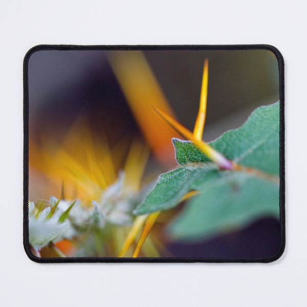 Item preview, Thorns designed and sold by amyericephoto.