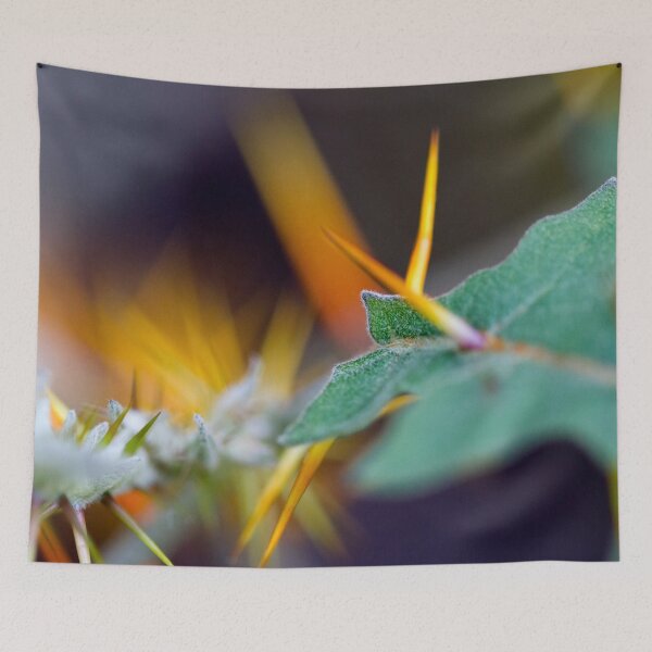 Item preview, Thorns designed and sold by amyericephoto.