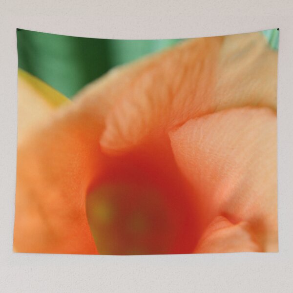 Item preview, Orange Flower designed and sold by amyericephoto.
