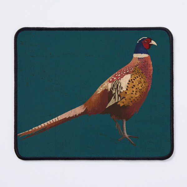 Item preview, Mr Pheasant on Textured Deep Teal Background. designed and sold by Sarah Thorpe Designs .
