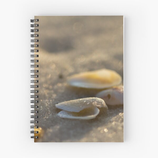 Item preview, Washed Ashore designed and sold by amyericephoto.