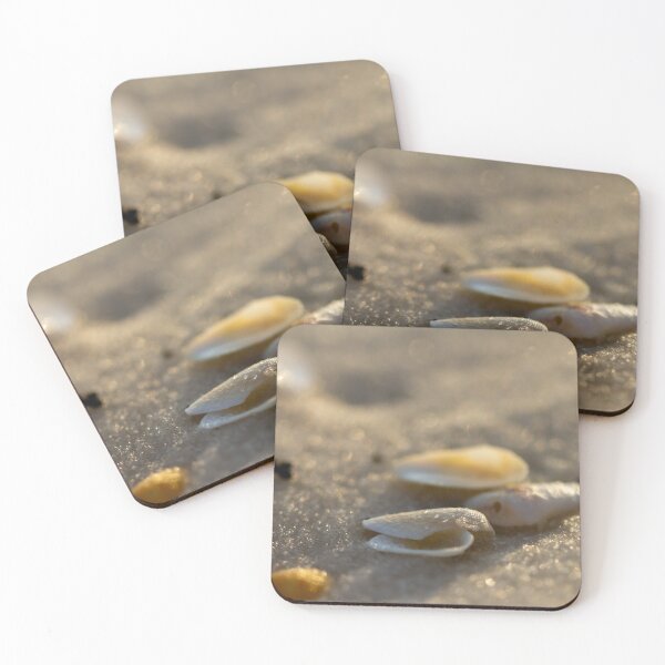 Item preview, Washed Ashore designed and sold by amyericephoto.