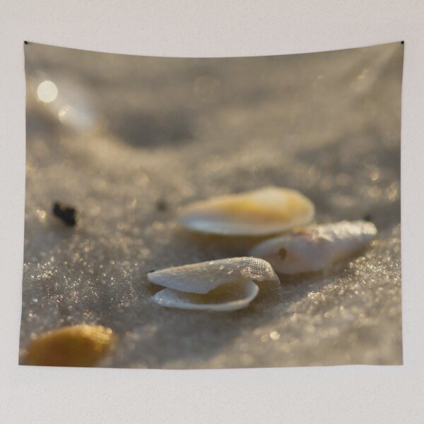 Item preview, Washed Ashore designed and sold by amyericephoto.