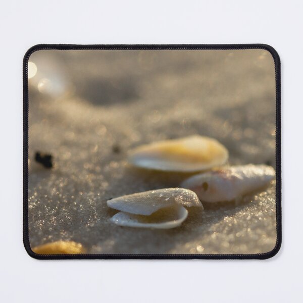 Item preview, Washed Ashore designed and sold by amyericephoto.