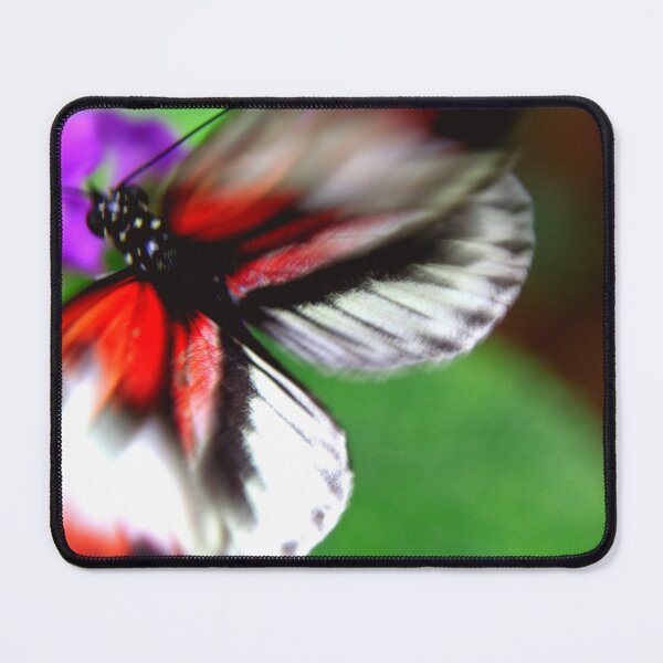 Item preview, Flutter designed and sold by amyericephoto.