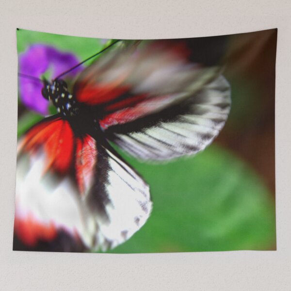 Item preview, Flutter designed and sold by amyericephoto.
