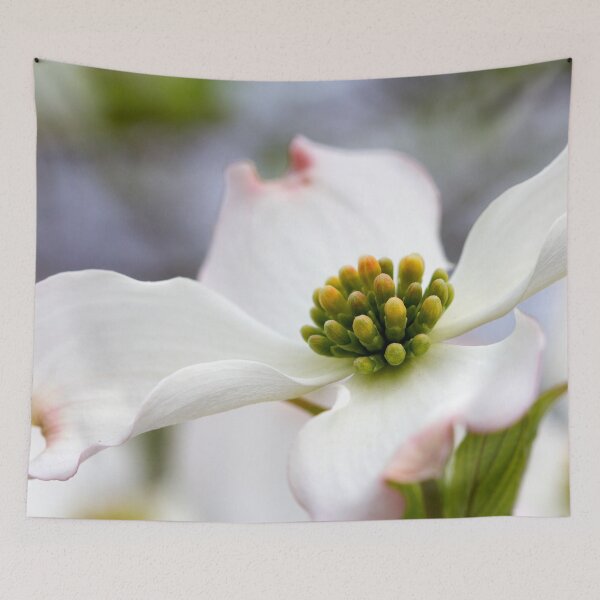 Item preview, Dogwood designed and sold by amyericephoto.