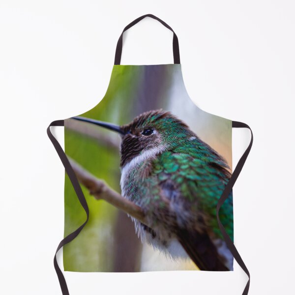 Item preview, Humming Bird designed and sold by amyericephoto.