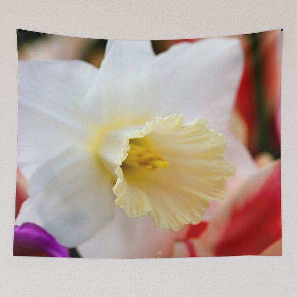 Item preview, Narcissus designed and sold by amyericephoto.