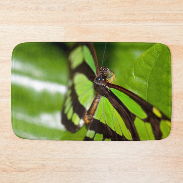 Item preview, Green Butterfly designed and sold by amyericephoto.