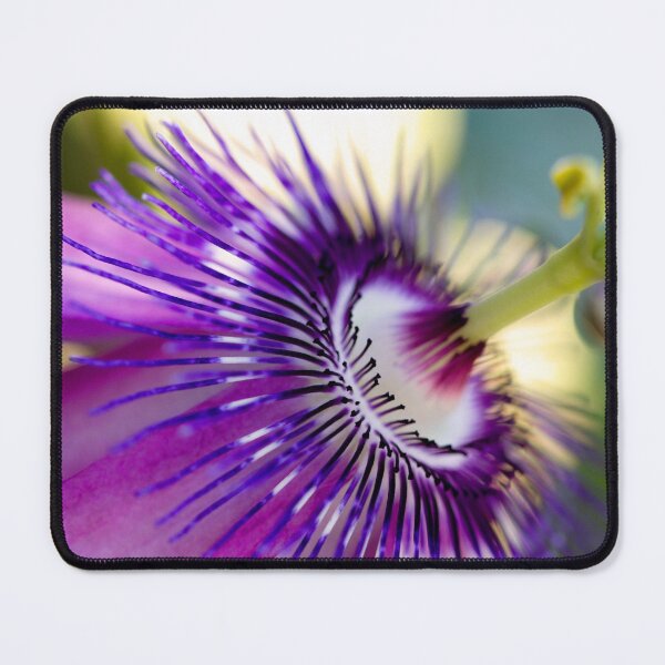 Item preview, Purple Passiflora designed and sold by amyericephoto.